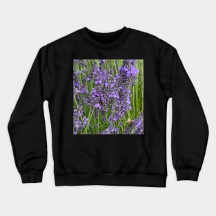 Rest Your Weary Head in a Fragrant Lavender Field Crewneck Sweatshirt